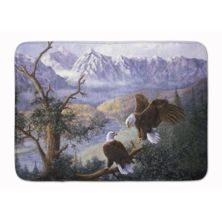 Jensendistributionservices Eagles by Daphne Baxter Machine Washable Memory Foam Mat MI2550599